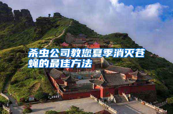 殺蟲公司教您夏季消滅蒼蠅的最佳方法