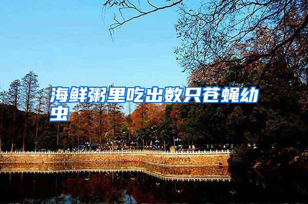 海鮮粥里吃出數(shù)只蒼蠅幼蟲(chóng)