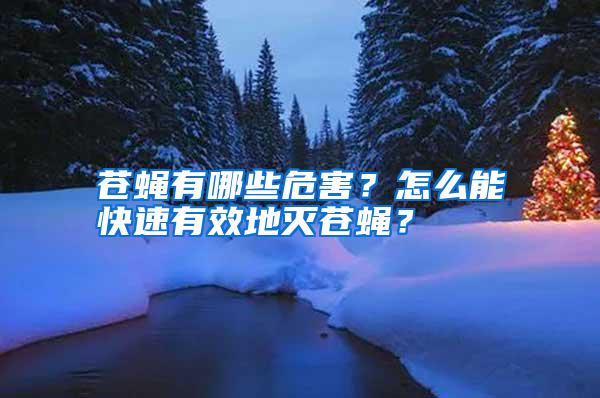蒼蠅有哪些危害?怎么能快速有效地滅蒼蠅?