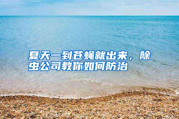 夏天一到蒼蠅就出來，除蟲公司教你如何防治