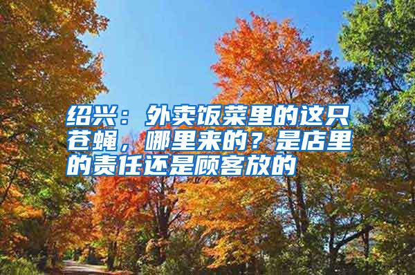 紹興：外賣飯菜里的這只蒼蠅，哪里來(lái)的？是店里的責(zé)任還是顧客放的