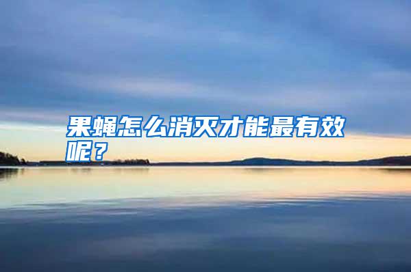 果蠅怎么消滅才能最有效呢？