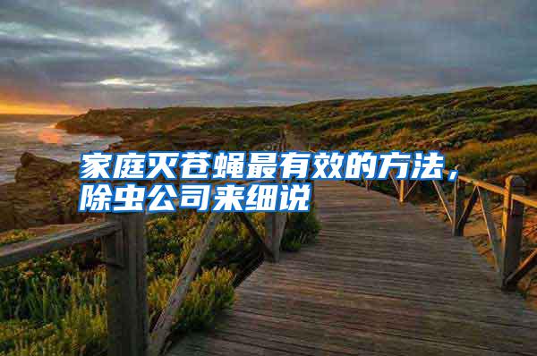 家庭滅蒼蠅最有效的方法，除蟲公司來細說
