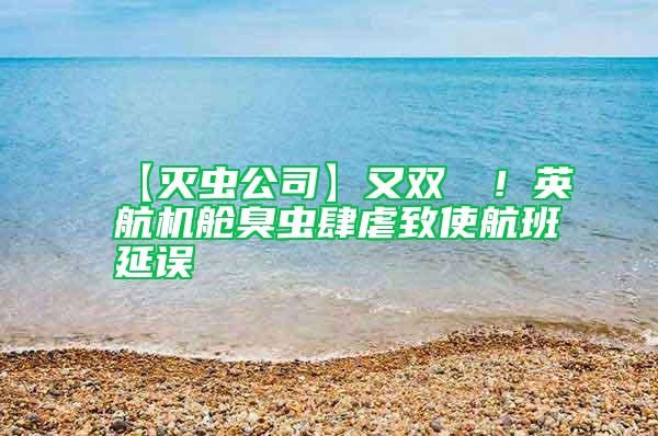 【滅蟲(chóng)公司】又雙叒叕!英航機(jī)艙臭蟲(chóng)肆虐致使航班延誤