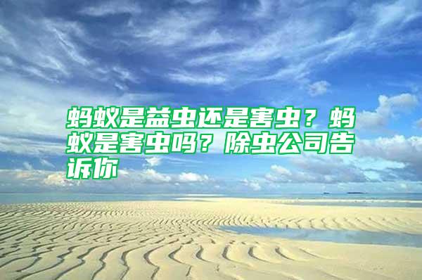 螞蟻是益蟲還是害蟲？螞蟻是害蟲嗎？除蟲公司告訴你