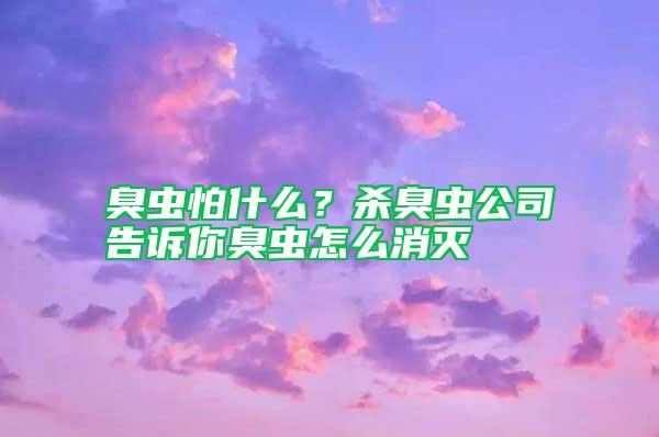 臭蟲怕什么？殺臭蟲公司告訴你臭蟲怎么消滅