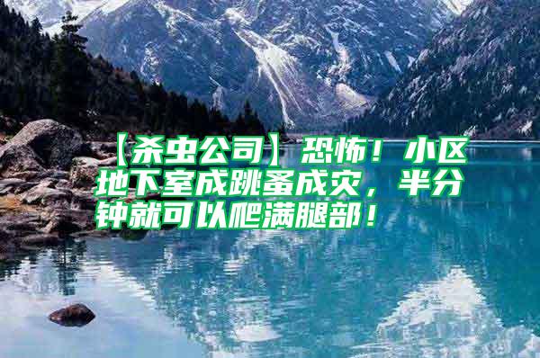 【殺蟲(chóng)公司】恐怖！小區(qū)地下室成跳蚤成災(zāi)，半分鐘就可以爬滿(mǎn)腿部！