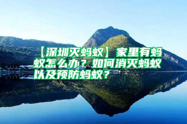 【深圳滅螞蟻】家里有螞蟻怎么辦？如何消滅螞蟻以及預(yù)防螞蟻？