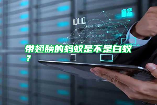 帶翅膀的螞蟻是不是白蟻？