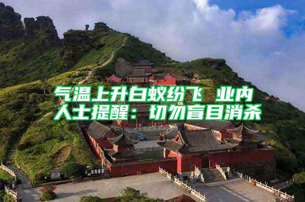 氣溫上升白蟻紛飛 業內人士提醒：切勿盲目消殺