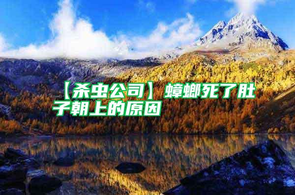 【殺蟲公司】蟑螂死了肚子朝上的原因