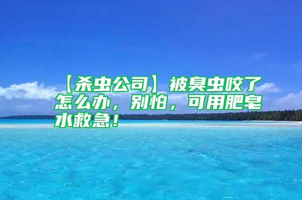 【殺蟲公司】被臭蟲咬了怎么辦,別怕,可用肥皂水救急!