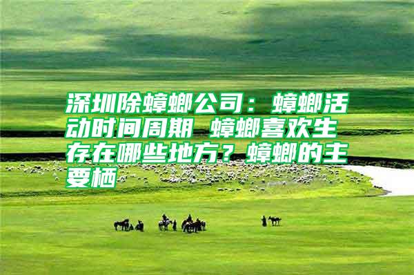 深圳除蟑螂公司：蟑螂活動時間周期 蟑螂喜歡生存在哪些地方？蟑螂的主要棲