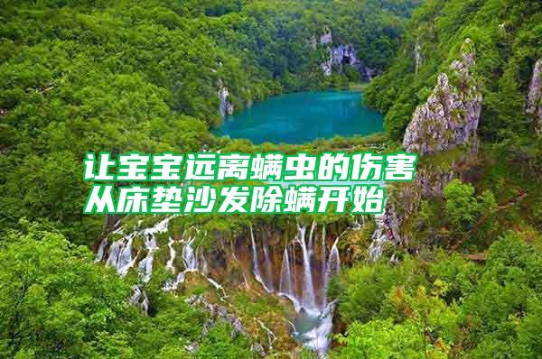 讓寶寶遠離螨蟲的傷害 從床墊沙發除螨開始