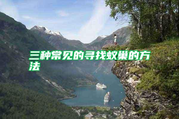 三種常見(jiàn)的尋找蟻巢的方法