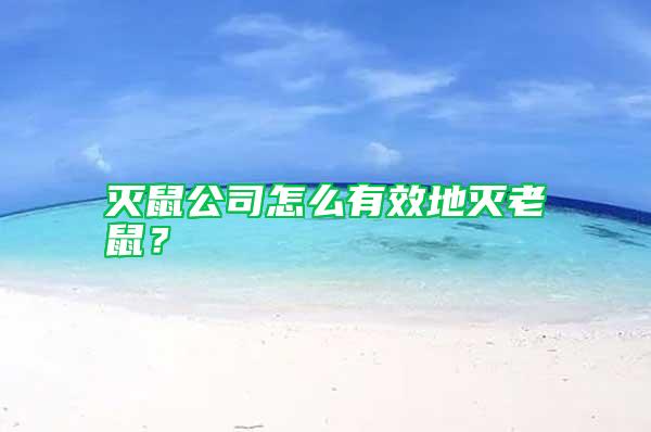 滅鼠公司怎么有效地滅老鼠？