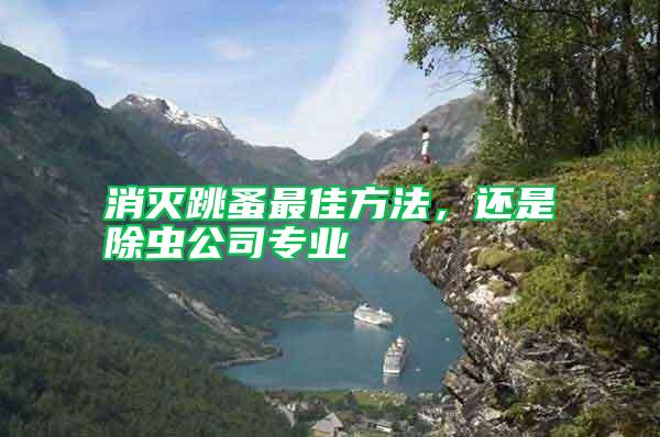 消滅跳蚤最佳方法，還是除蟲公司專業