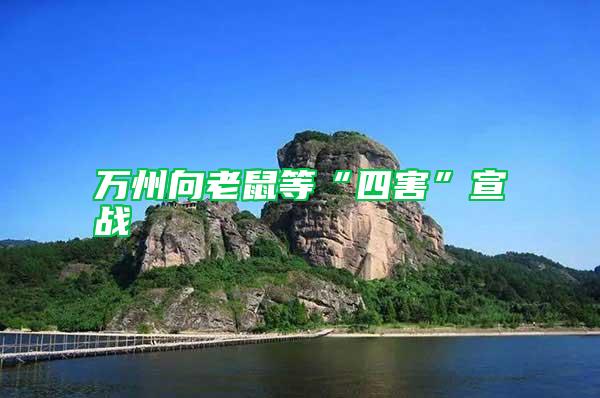 萬州向老鼠等“四害”宣戰