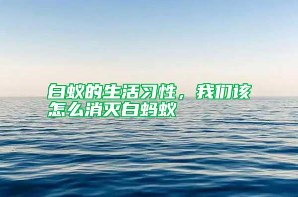 白蟻的生活習性,我們該怎么消滅白螞蟻
