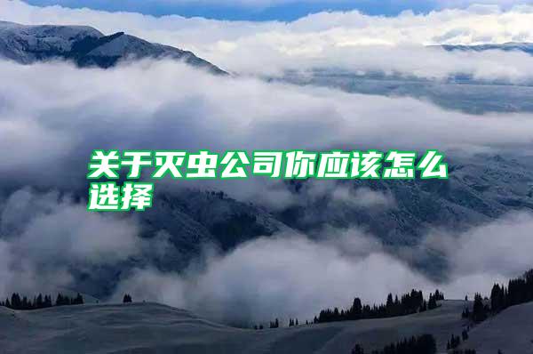 關于滅蟲公司你應該怎么選擇