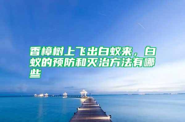 香樟樹上飛出白蟻來，白蟻的預防和滅治方法有哪些