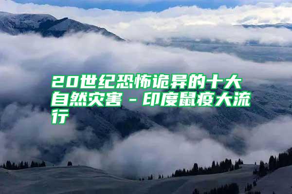 20世紀(jì)恐怖詭異的十大自然災(zāi)害－印度鼠疫大流行