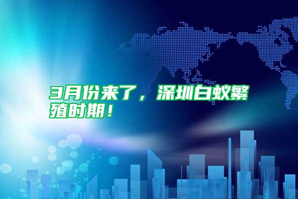 3月份來了,深圳白蟻繁殖時(shí)期!