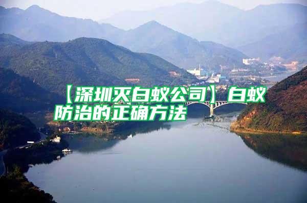 【深圳滅白蟻公司】白蟻防治的正確方法