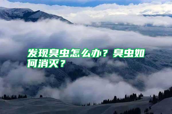 發現臭蟲怎么辦？臭蟲如何消滅？