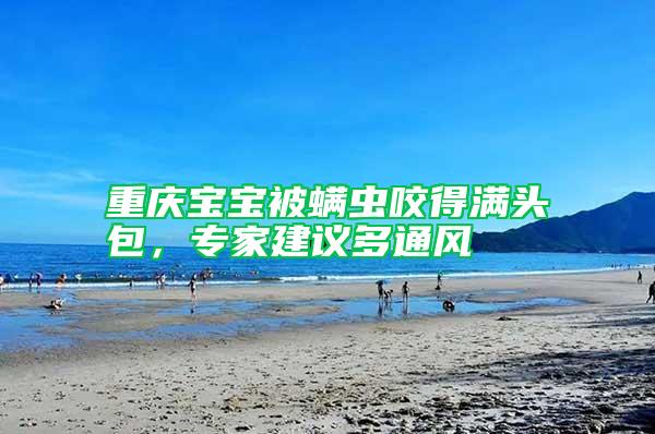 重慶寶寶被螨蟲咬得滿頭包，專家建議多通風