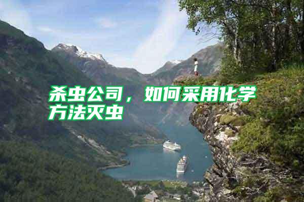 殺蟲公司,如何采用化學方法滅蟲