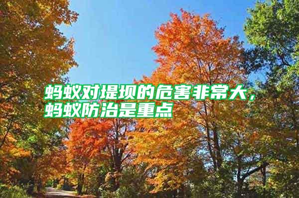 螞蟻對堤壩的危害非常大，螞蟻防治是重點