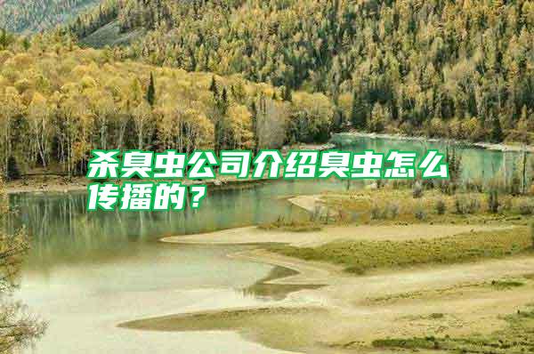 殺臭蟲公司介紹臭蟲怎么傳播的？