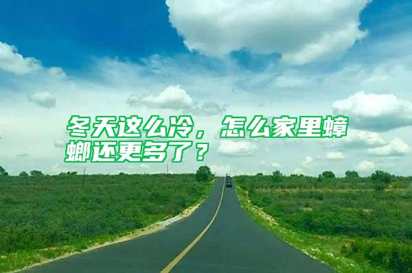 冬天這么冷，怎么家里蟑螂還更多了？