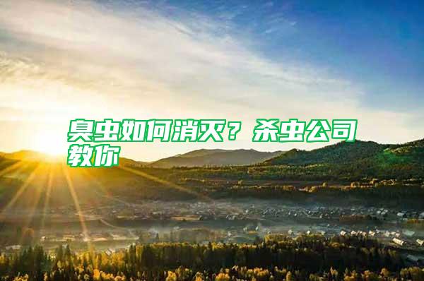 臭蟲如何消滅?殺蟲公司教你