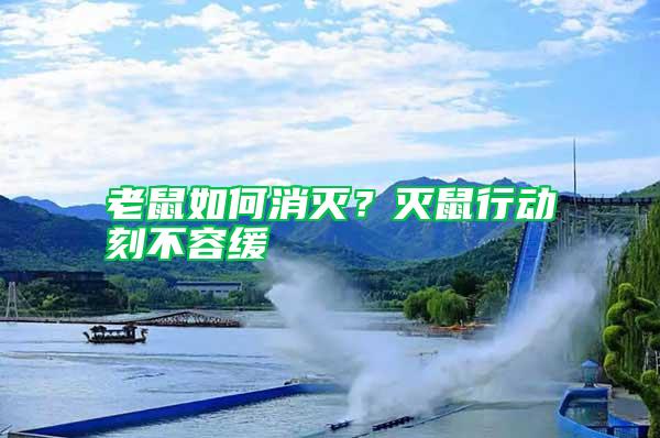 老鼠如何消滅？滅鼠行動(dòng)刻不容緩