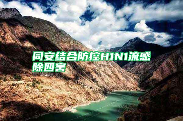 同安結合防控H1N1流感除四害