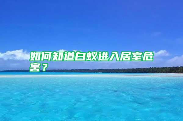 如何知道白蟻進入居室危害？
