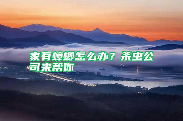 家有蟑螂怎么辦？殺蟲公司來幫你