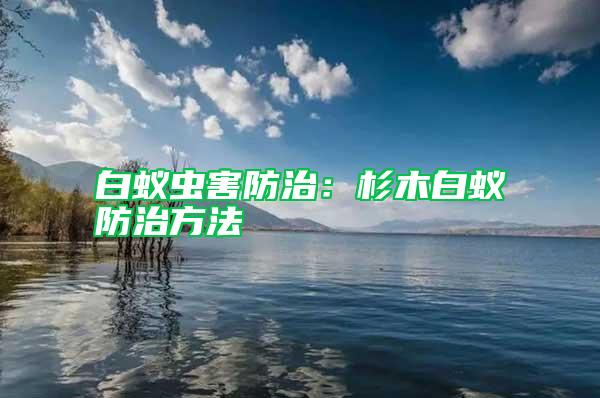 白蟻蟲害防治：杉木白蟻防治方法