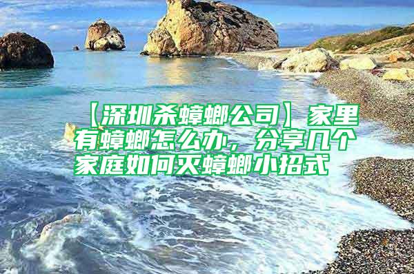 【深圳殺蟑螂公司】家里有蟑螂怎么辦，分享幾個家庭如何滅蟑螂小招式