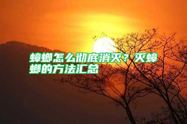 蟑螂怎么徹底消滅？滅蟑螂的方法匯總