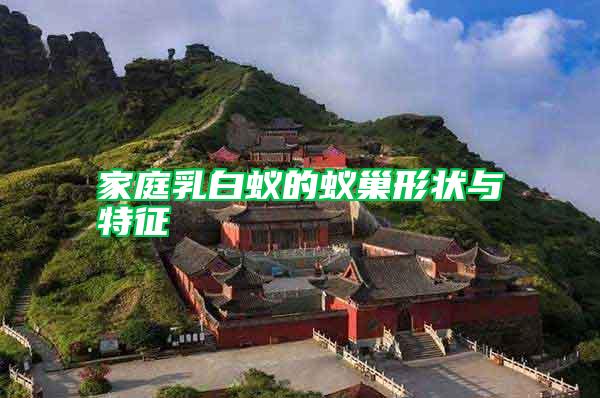 家庭乳白蟻的蟻巢形狀與特征