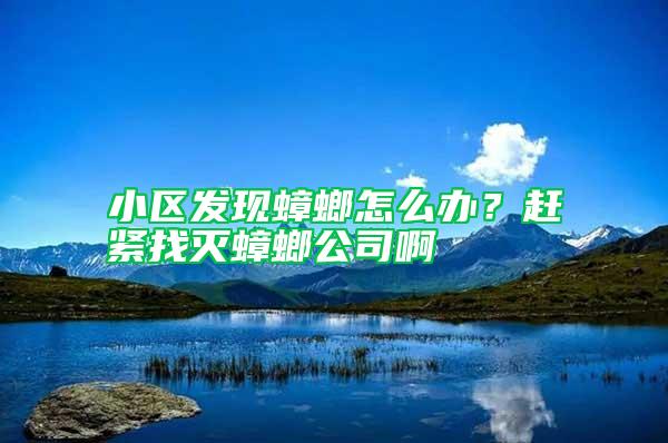 小區(qū)發(fā)現(xiàn)蟑螂怎么辦?趕緊找滅蟑螂公司啊
