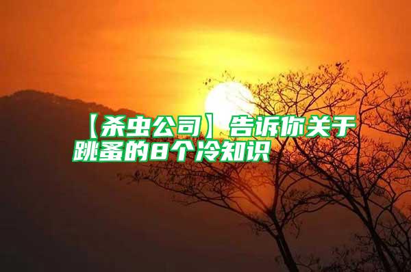 【殺蟲公司】告訴你關(guān)于跳蚤的8個(gè)冷知識(shí)