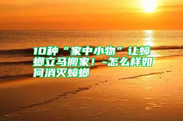 10種“家中小物”讓蟑螂立馬搬家！-怎么樣如何消滅蟑螂