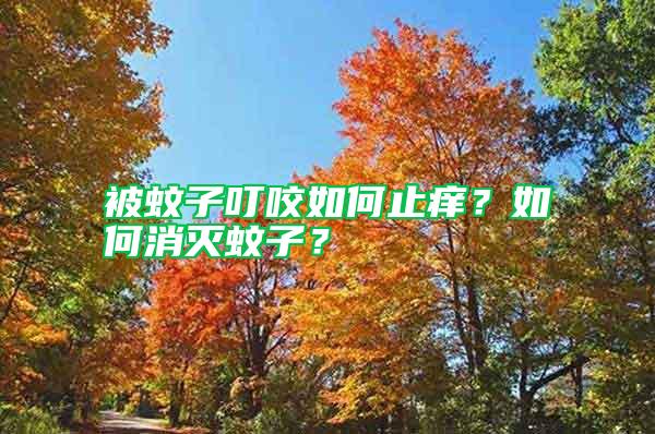 被蚊子叮咬如何止癢？如何消滅蚊子？