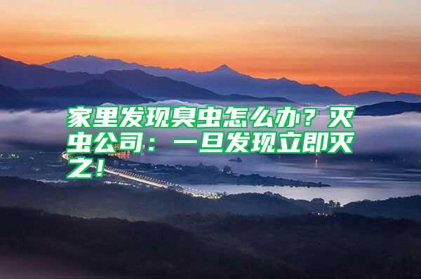 家里發現臭蟲怎么辦？滅蟲公司：一旦發現立即滅之！