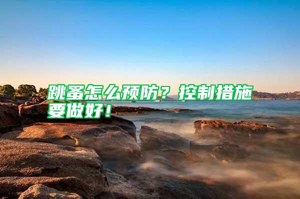跳蚤怎么預(yù)防？控制措施要做好！