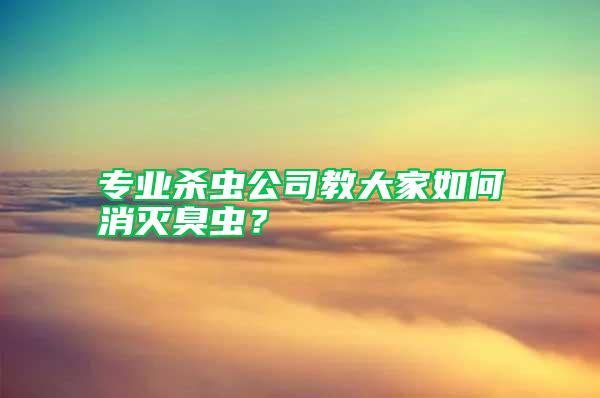 專業(yè)殺蟲公司教大家如何消滅臭蟲？